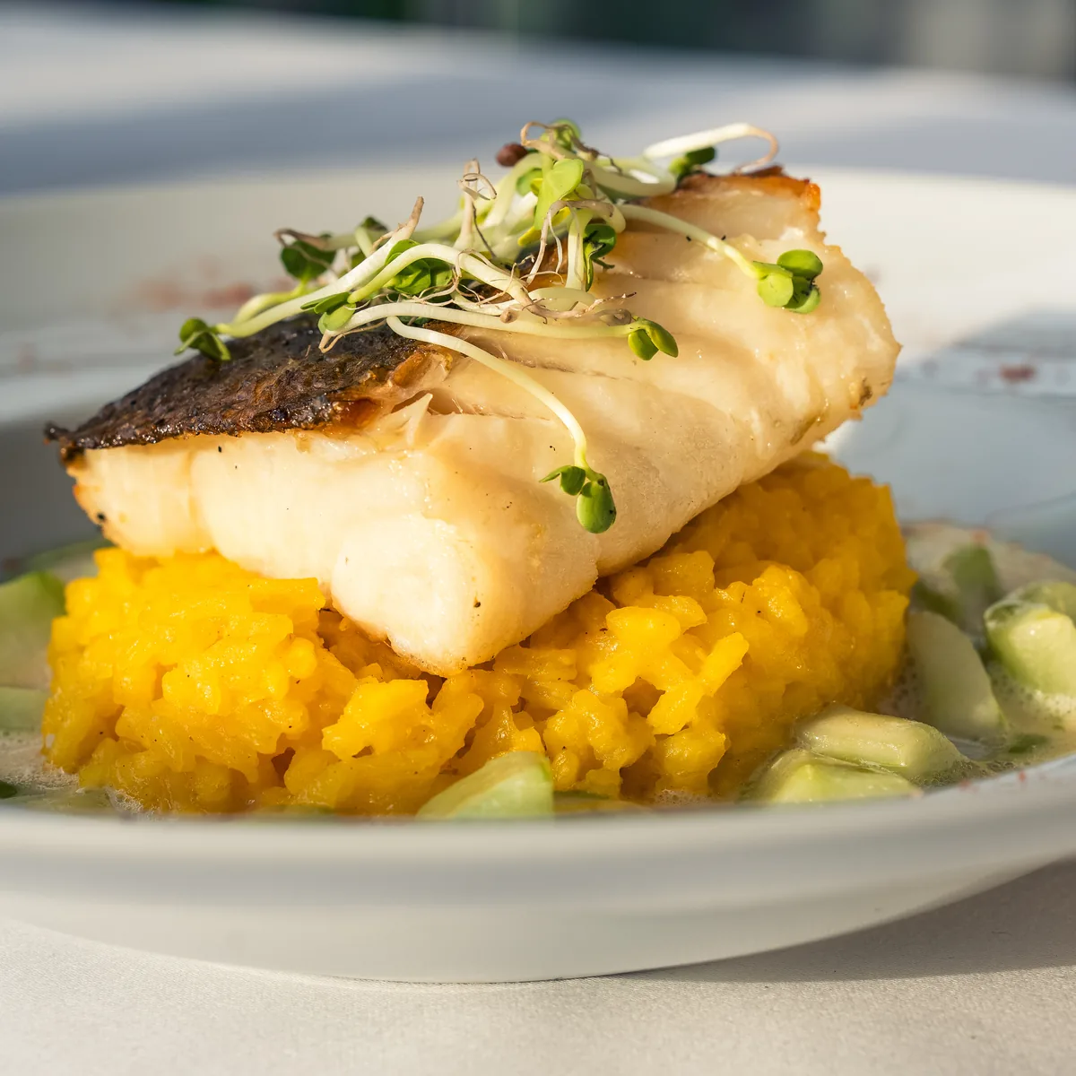 Gebratener Kabeljau auf Safran-Zitronen-Risotto - aus der Speisekarte von Gut Altona